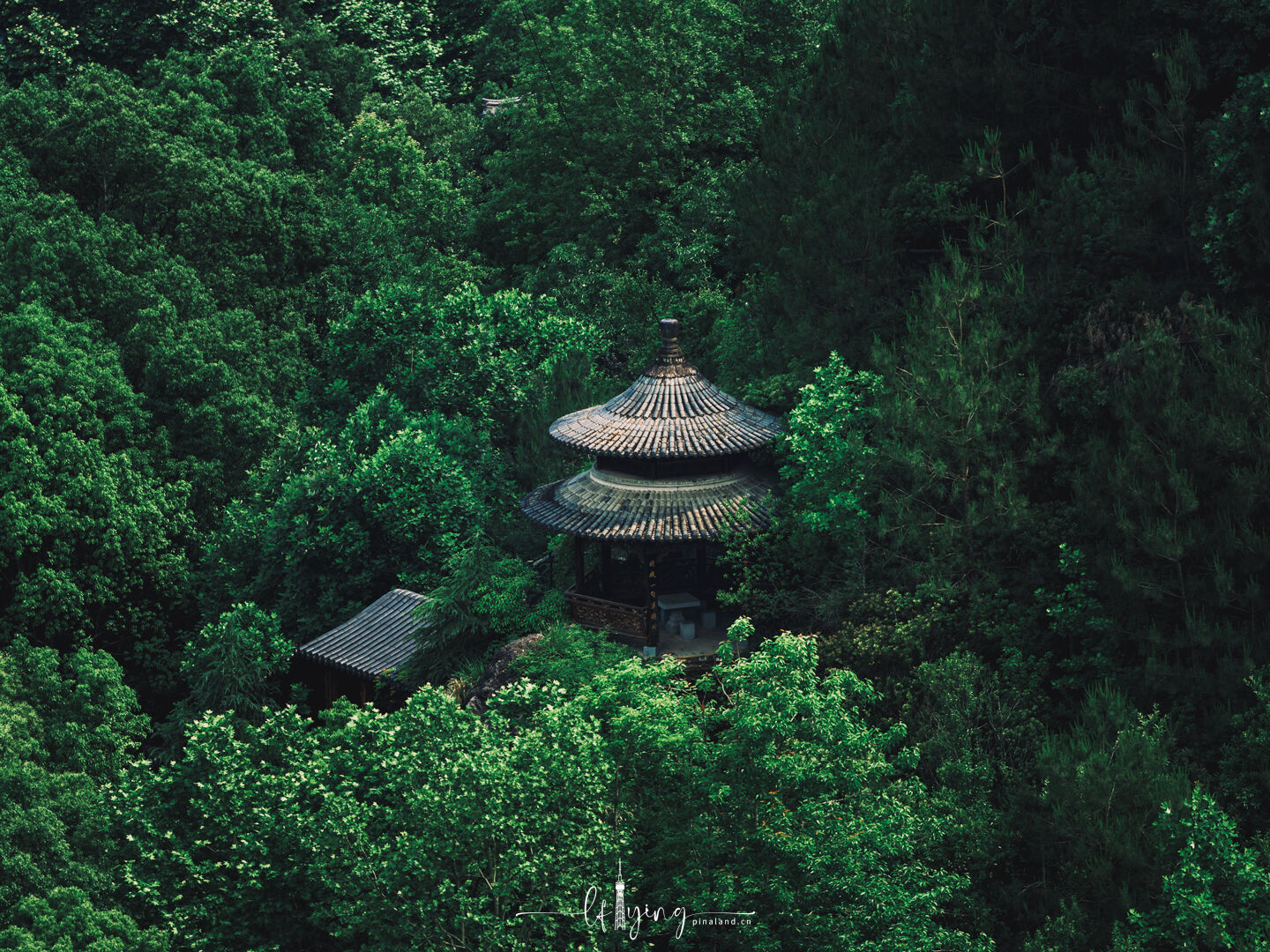 Zuijing Garden 2