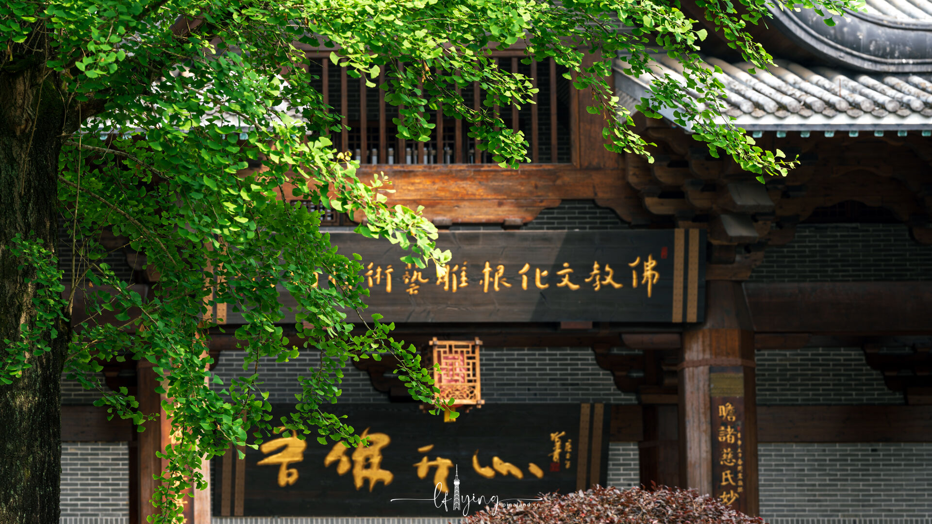 Main gate 2
