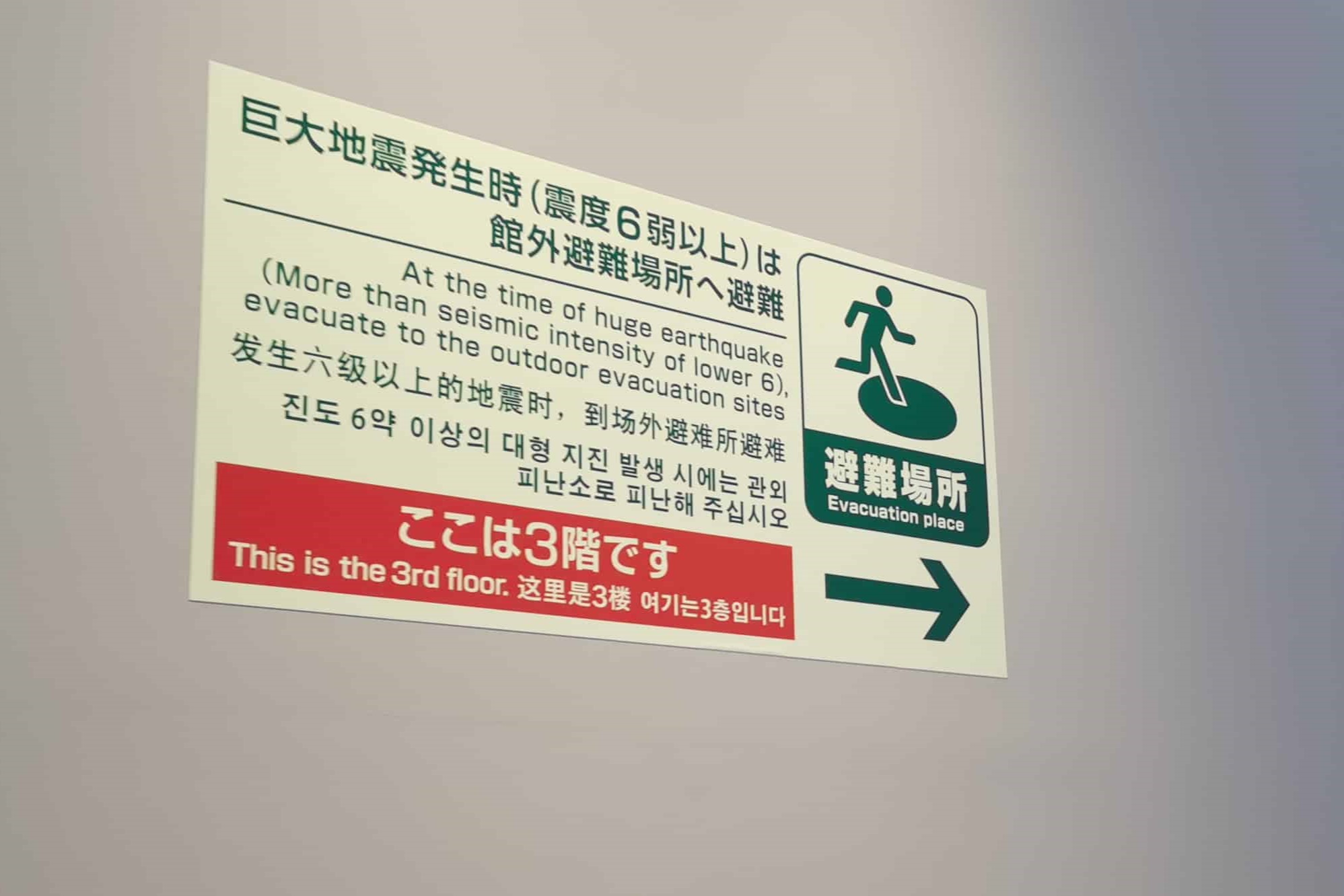 Emergency guidance sign