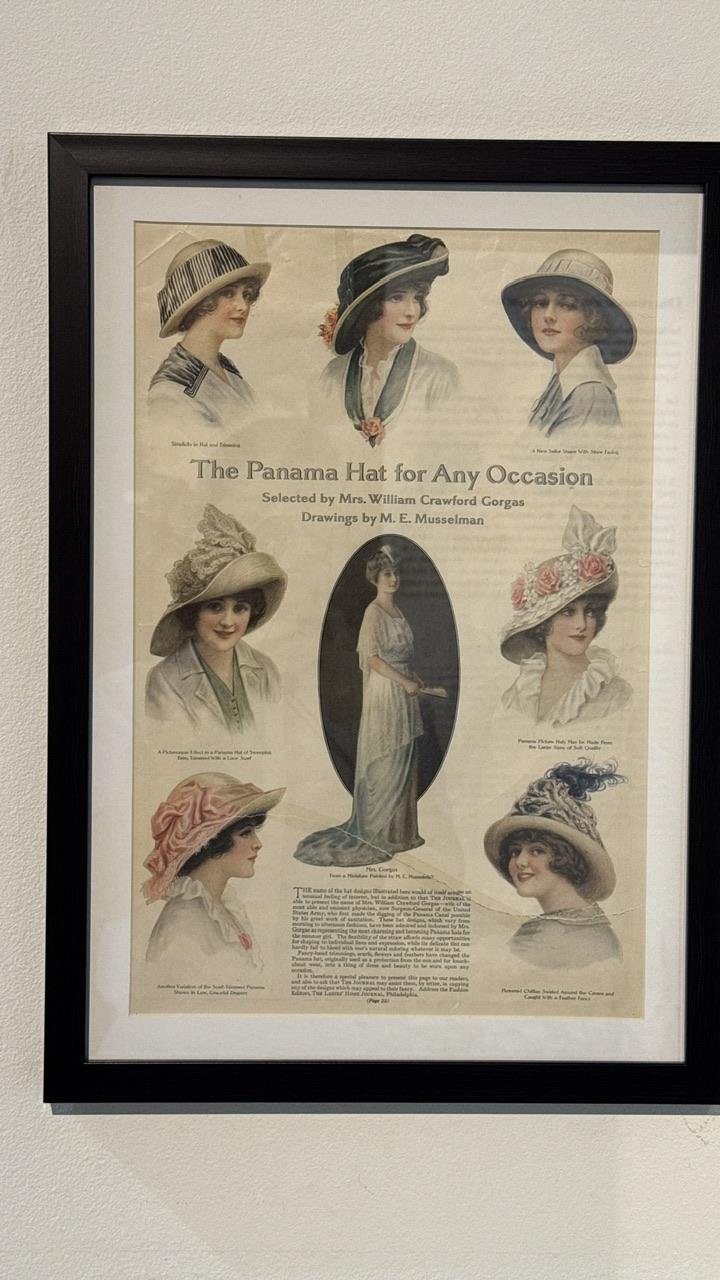Panama Hat