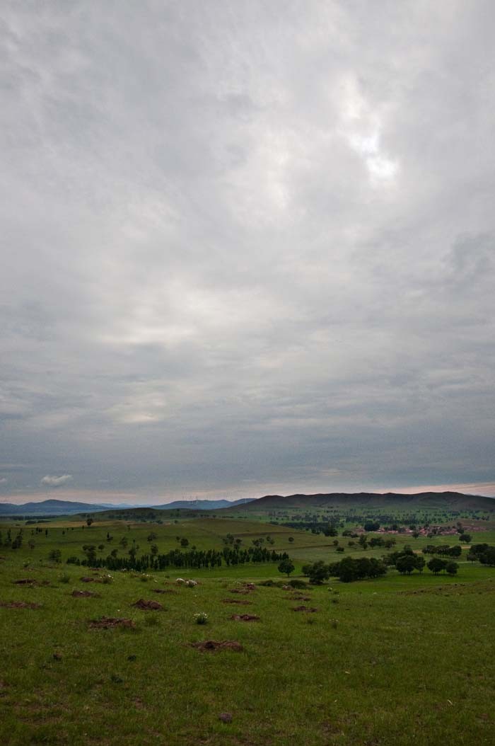 Grassland snapshot