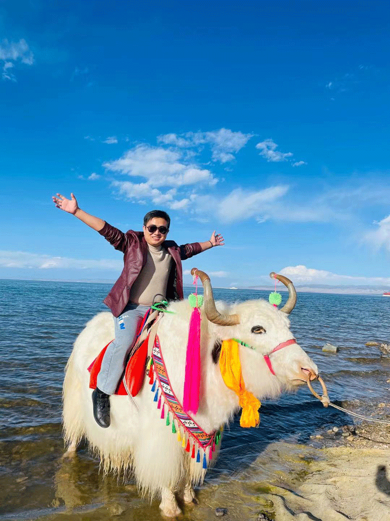 A majestic trekking yak
