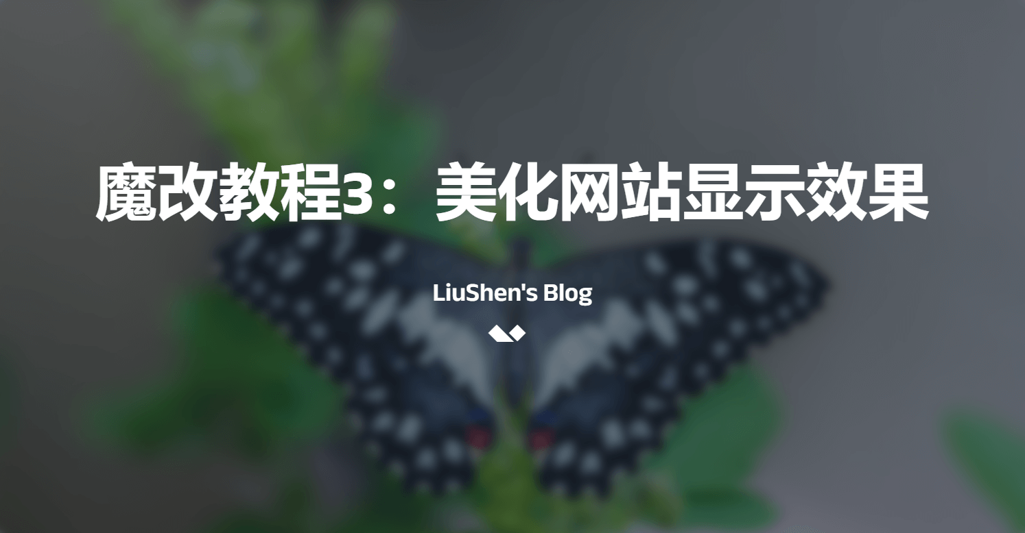 Cover image for website plugin customization and visual polish