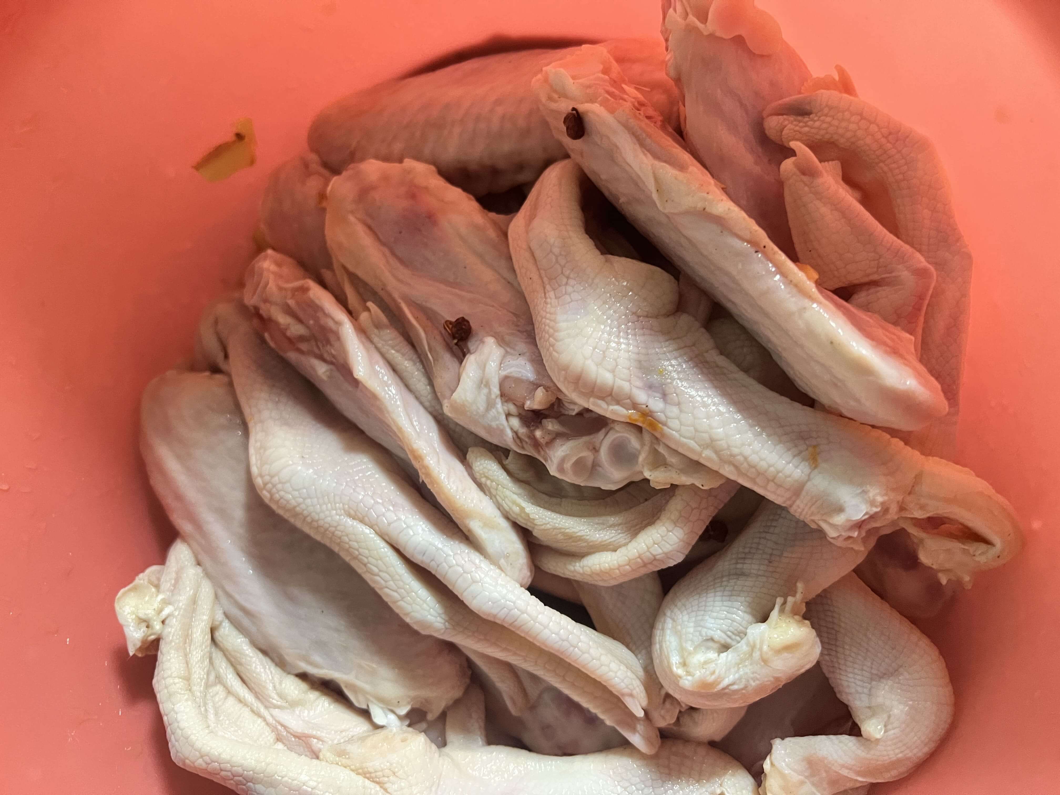 Duck wings and duck feet taking a “bath” - 01