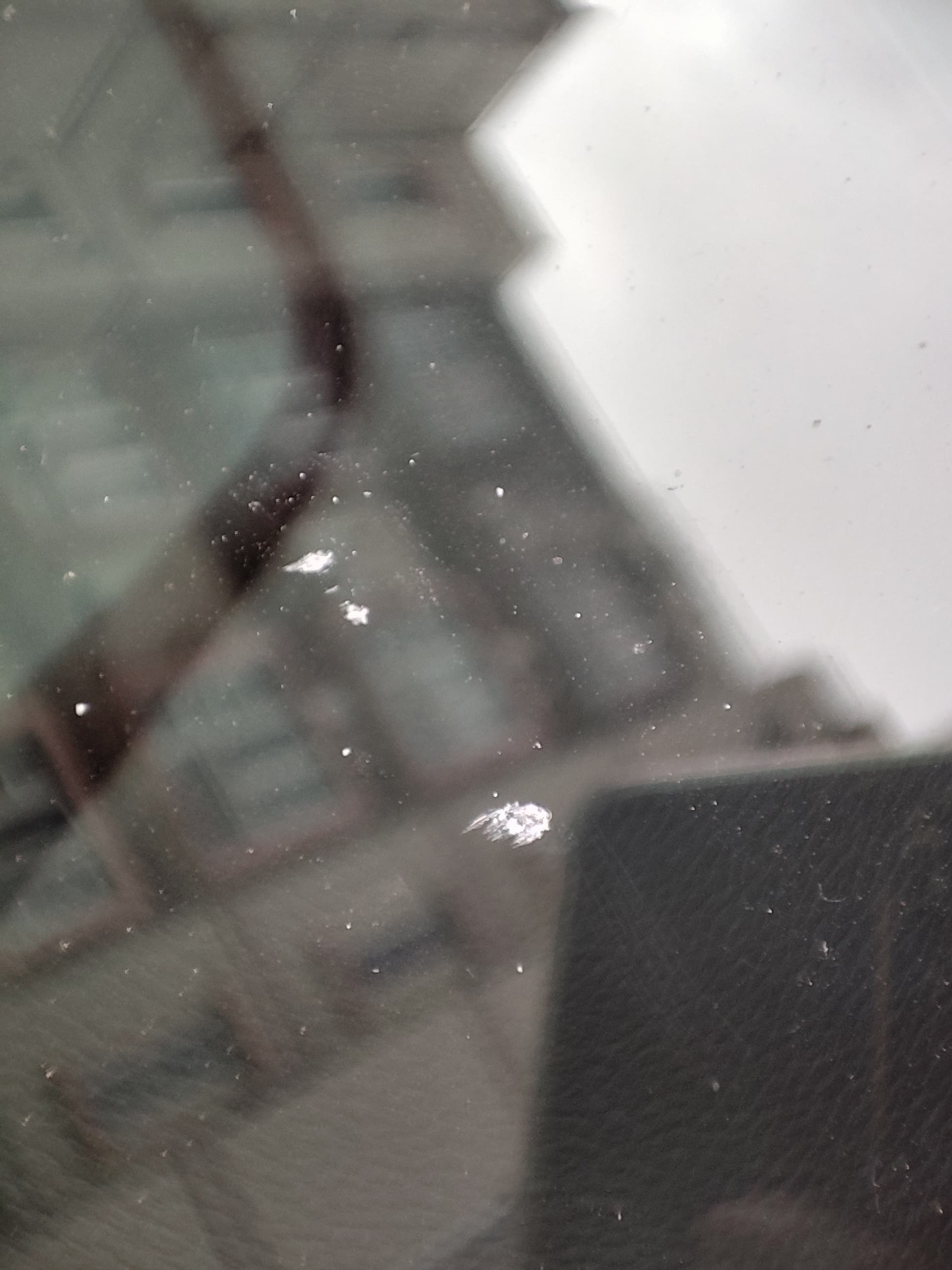 IMG_20221211_151349.jpg
