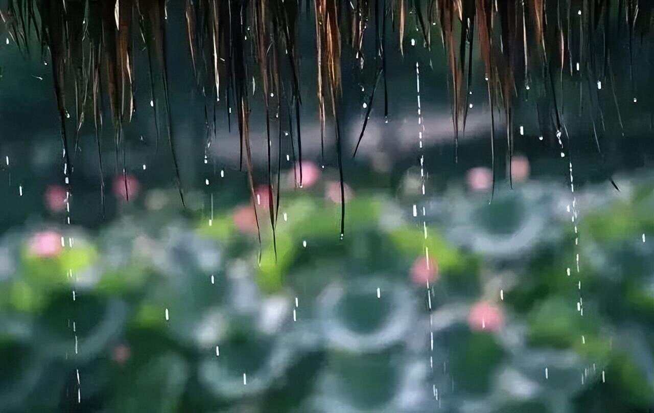 summer rain