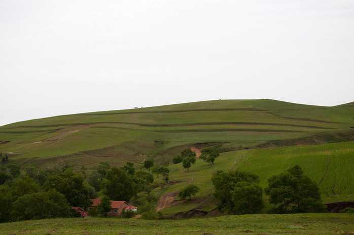 Random shots on Bashang Grassland
