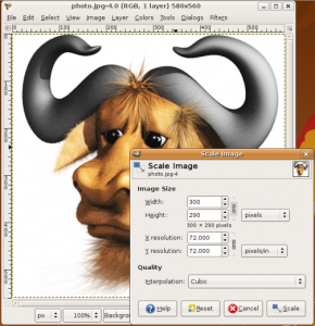 GIMP resizing an image