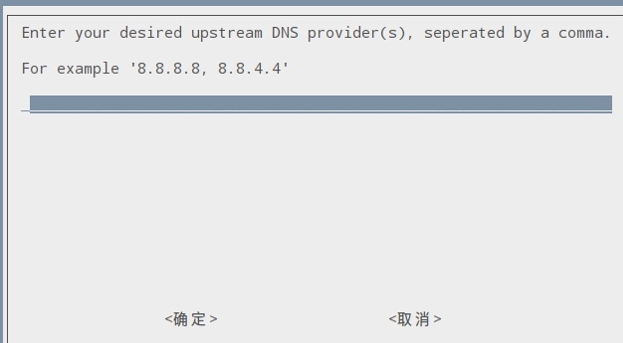 Custom DNS option