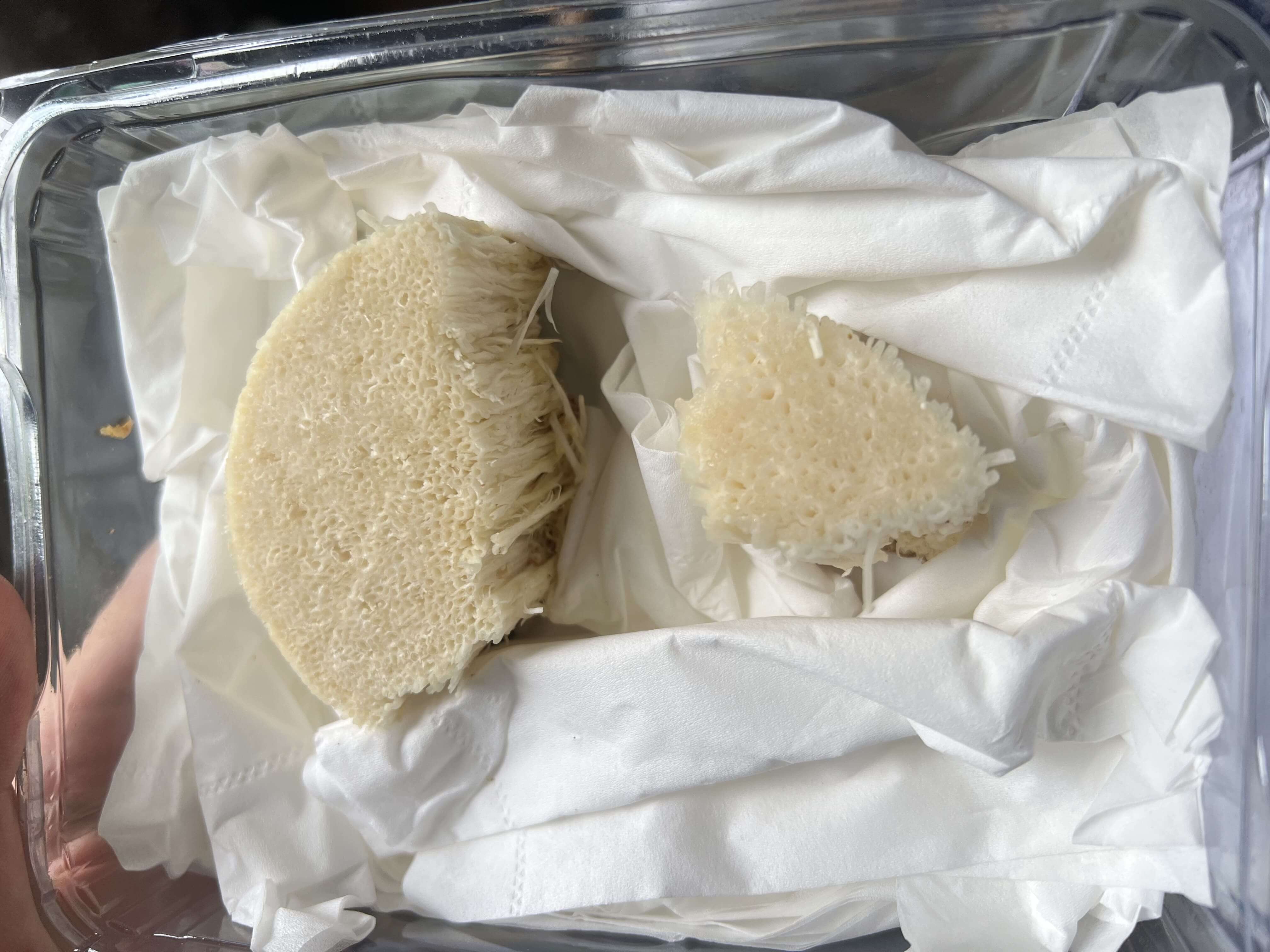 Will the enoki mushrooms regrow?