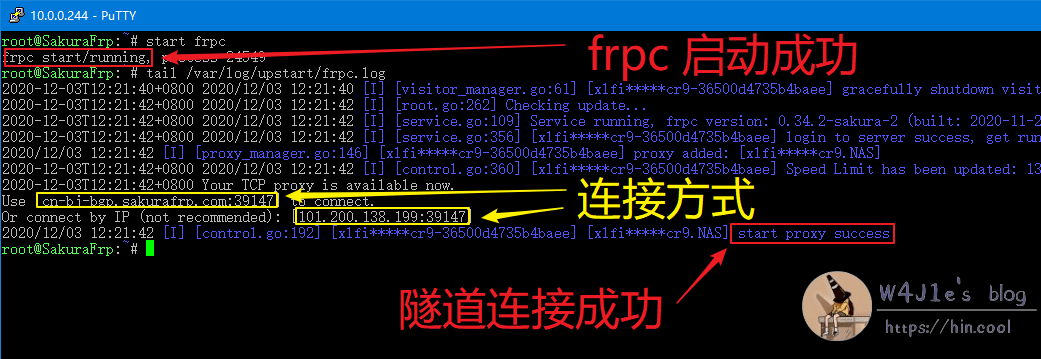frpc startup log